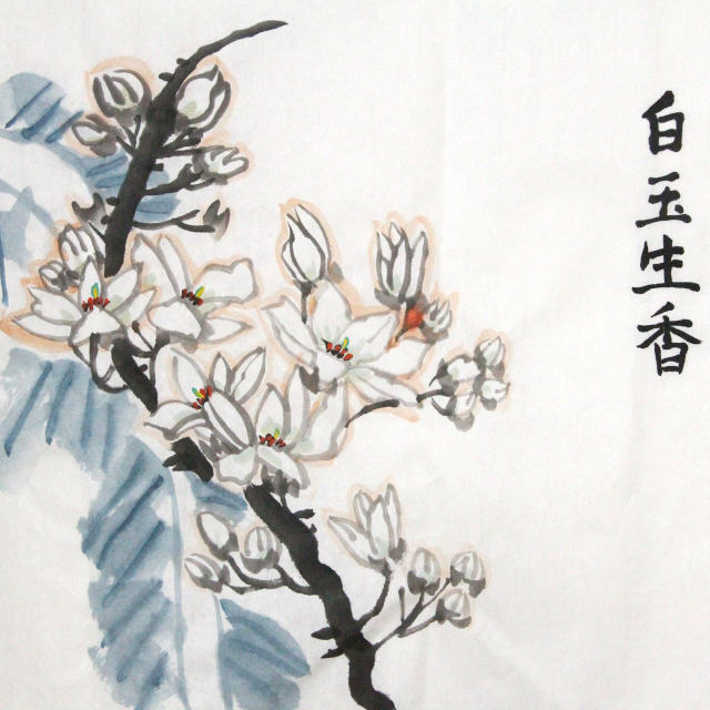 YAN Art Chinese painting draft magnolia and musa basjoo ws